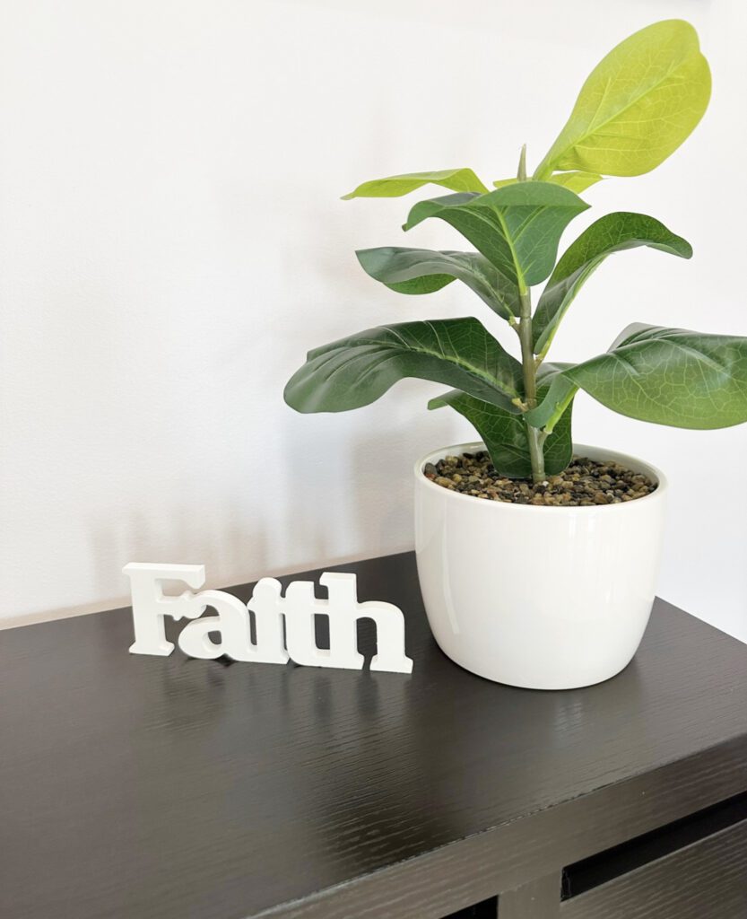 dental faith FAITH sign with plant