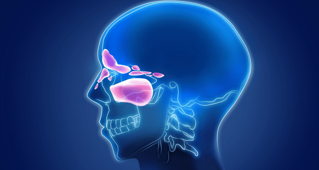 Can Sinus Cause Toothache Pain?
