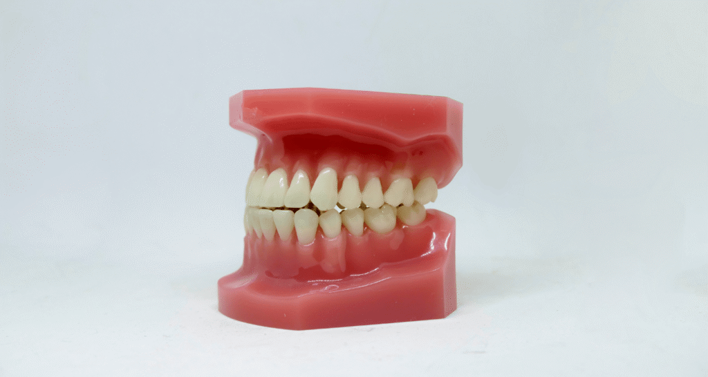 Does Chewing Gum Prevent Cavities?
